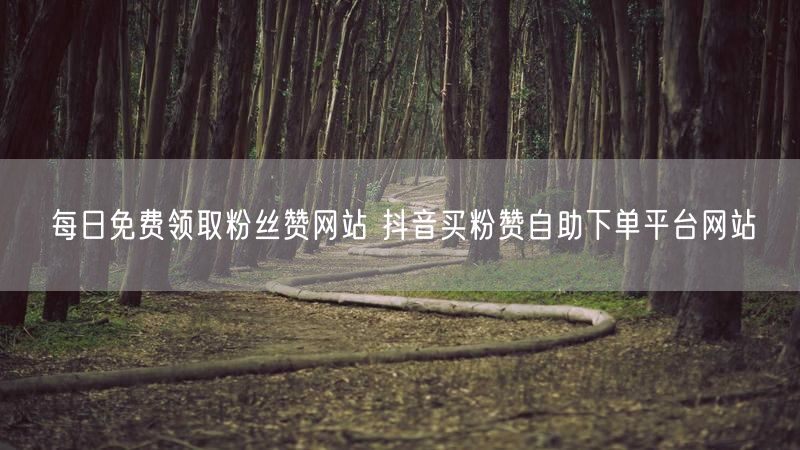 每日免费领取粉丝赞网站 抖音买粉赞自助下单平台网站