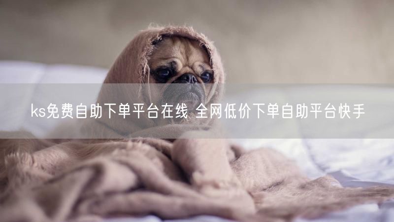 ks免费自助下单平台在线 全网低价下单自助平台快手