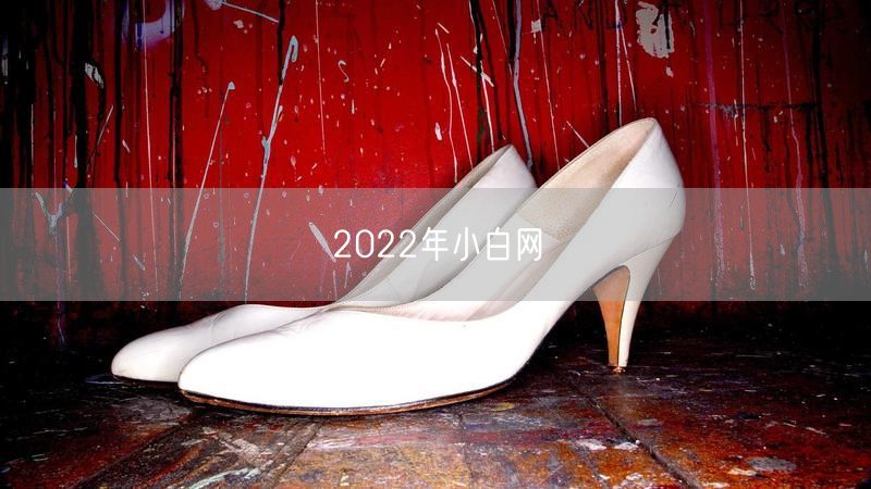 2022年小白网