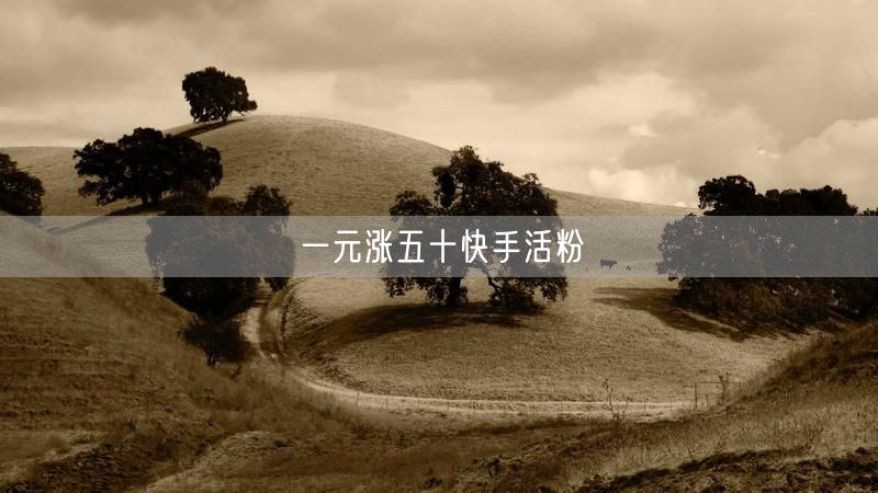 一元涨五十快手活粉