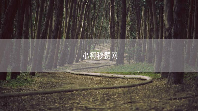 小柯秒赞网