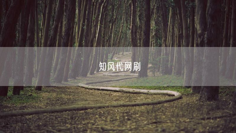 知风代网刷