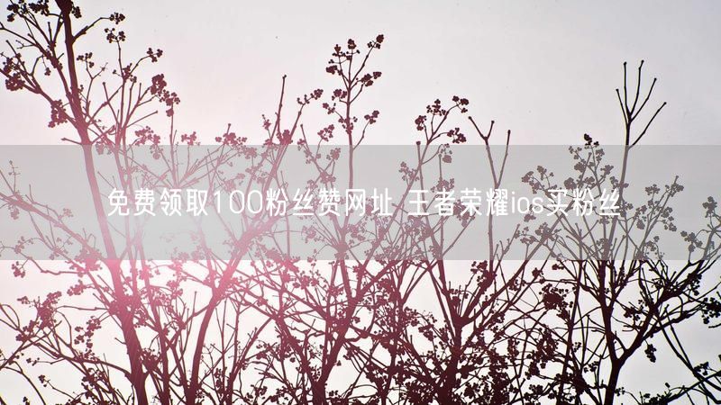 免费领取100粉丝赞网址 王者荣耀ios买粉丝