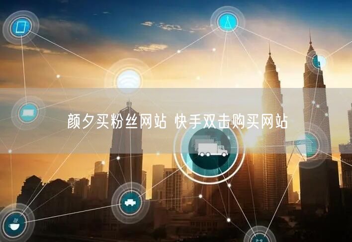 颜夕买粉丝网站 快手双击购买网站