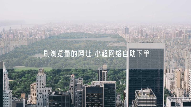 刷浏览量的网址 小超网络自助下单