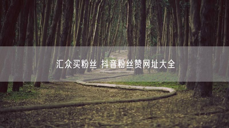 汇众买粉丝 抖音粉丝赞网址大全