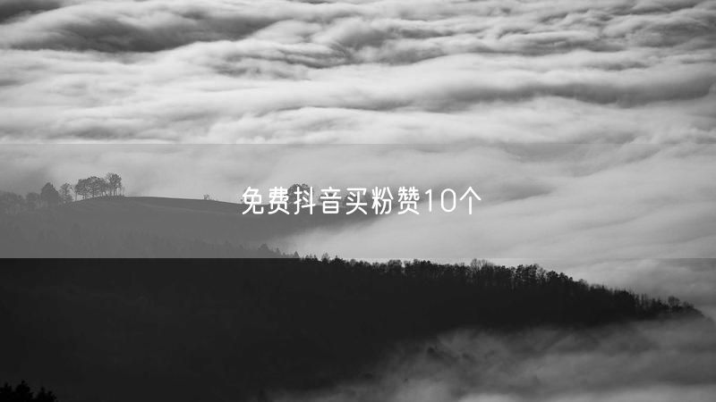免费抖音买粉赞10个