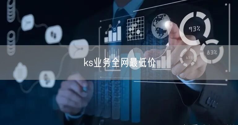 ks业务全网最低价