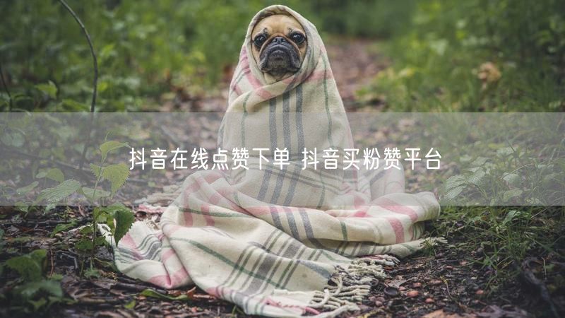 抖音在线点赞下单 抖音买粉赞平台