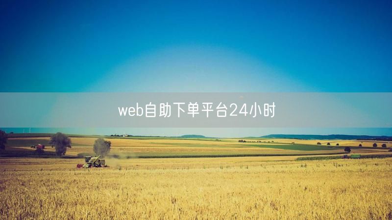 web自助下单平台24小时
