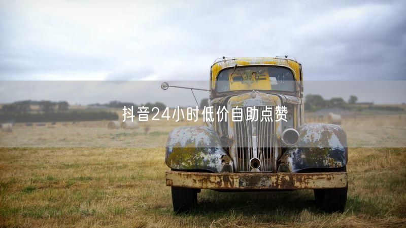 抖音24小时低价自助点赞