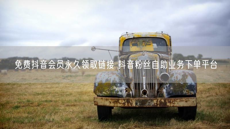 免费抖音会员永久领取链接 抖音粉丝自助业务下单平台