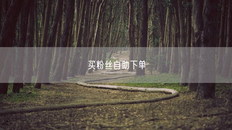 买粉丝自助下单