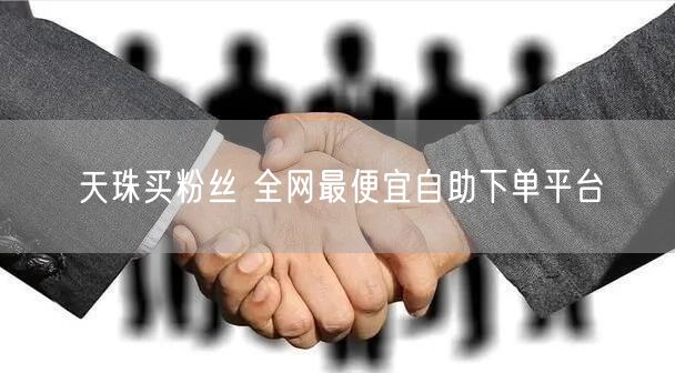 天珠买粉丝 全网最便宜自助下单平台