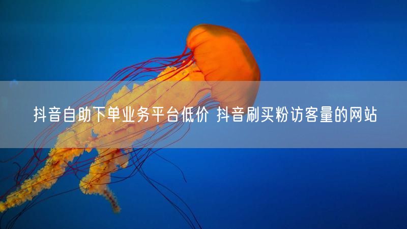 抖音自助下单业务平台低价 抖音刷买粉访客量的网站