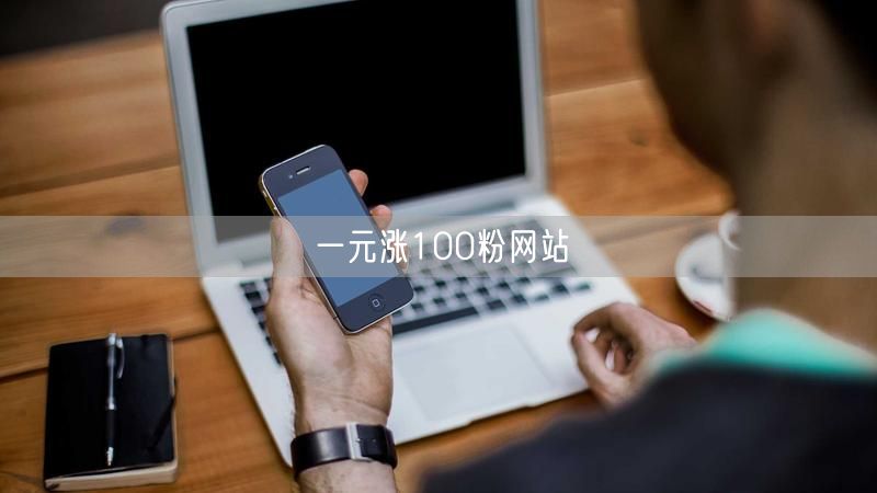 一元涨100粉网站