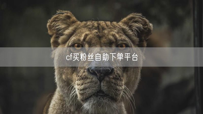cf买粉丝自助下单平台