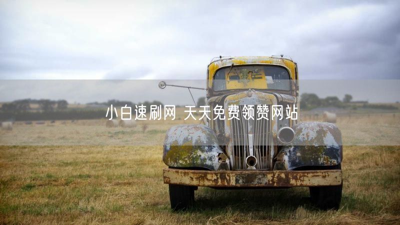 小白速刷网 天天免费领赞网站