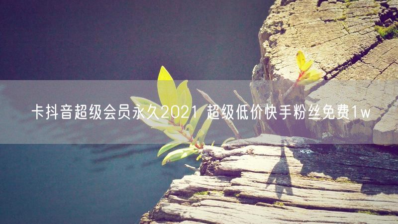 卡抖音超级会员永久2021 超级低价快手粉丝免费1w