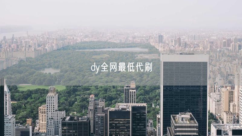 dy全网最低代刷