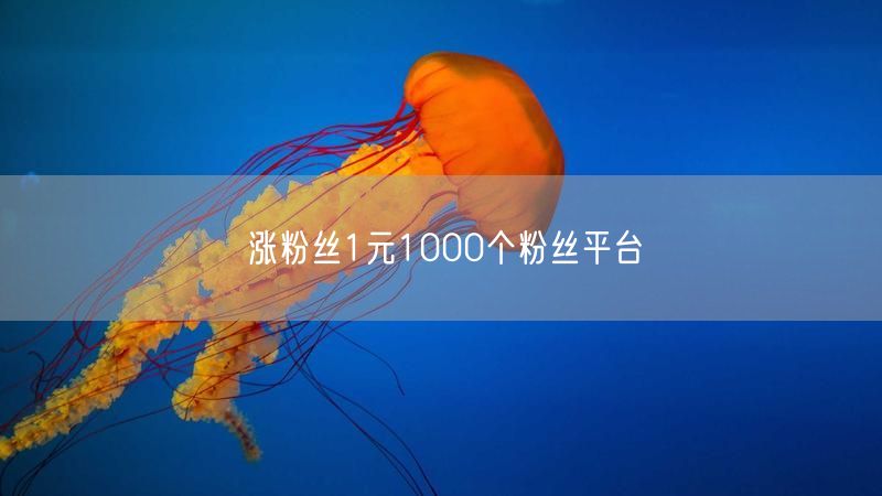 涨粉丝1元1000个粉丝平台