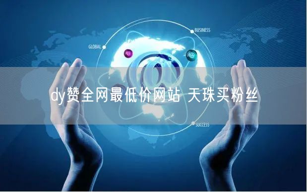 dy赞全网最低价网站 天珠买粉丝
