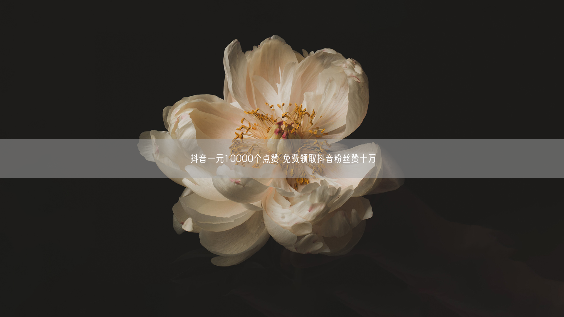 抖音一元10000个点赞 免费领取抖音粉丝赞十万