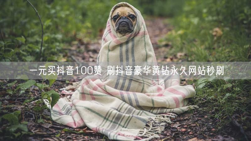 一元买抖音100赞 刷抖音豪华黄钻永久网站秒刷