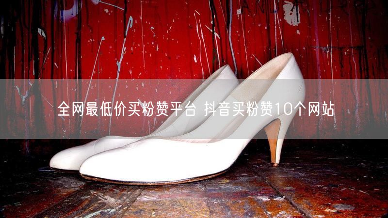 全网最低价买粉赞平台 抖音买粉赞10个网站