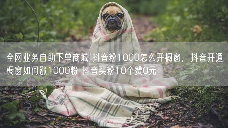 全网业务自助下单商城 抖音粉1000怎么开橱窗，抖音开通橱窗如何涨1000粉 抖音买粉10个赞0元