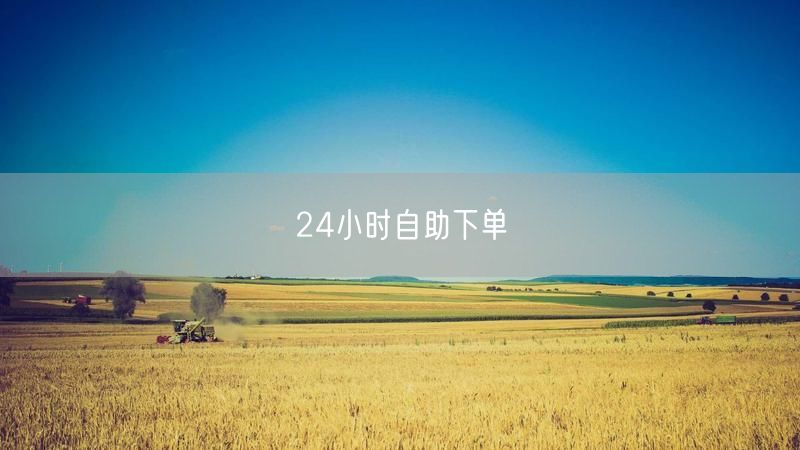 24小时自助下单
