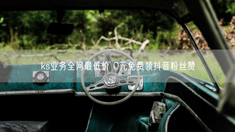 ks业务全网最低价 0元免费领抖音粉丝赞