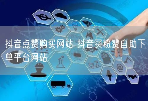 抖音点赞购买网站 抖音买粉赞自助下单平台网站