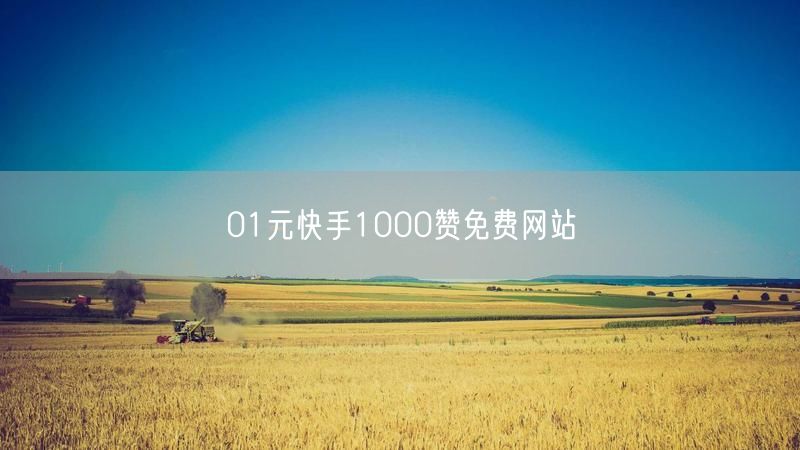 01元快手1000赞免费网站