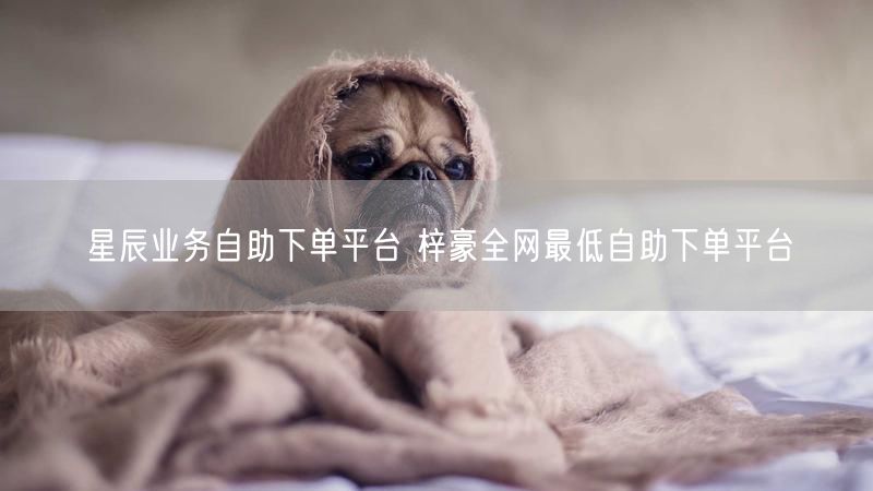 星辰业务自助下单平台 梓豪全网最低自助下单平台