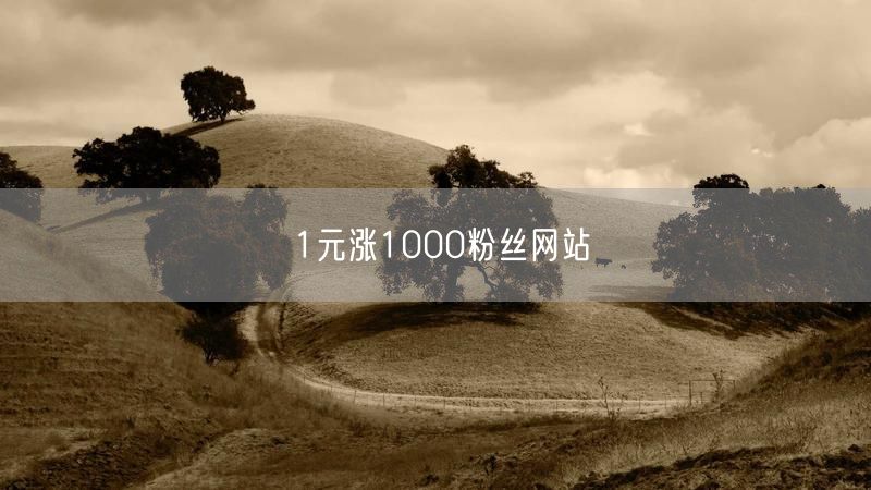 1元涨1000粉丝网站
