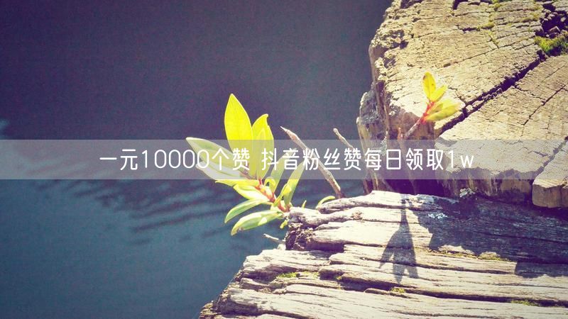 一元10000个赞 抖音粉丝赞每日领取1w
