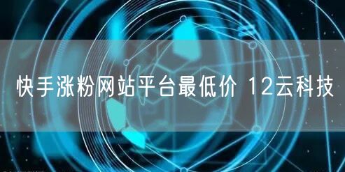 快手涨粉网站平台最低价 12云科技