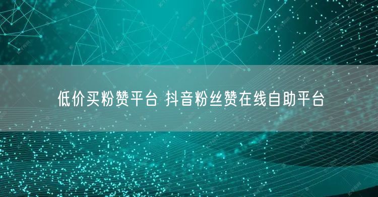 低价买粉赞平台 抖音粉丝赞在线自助平台