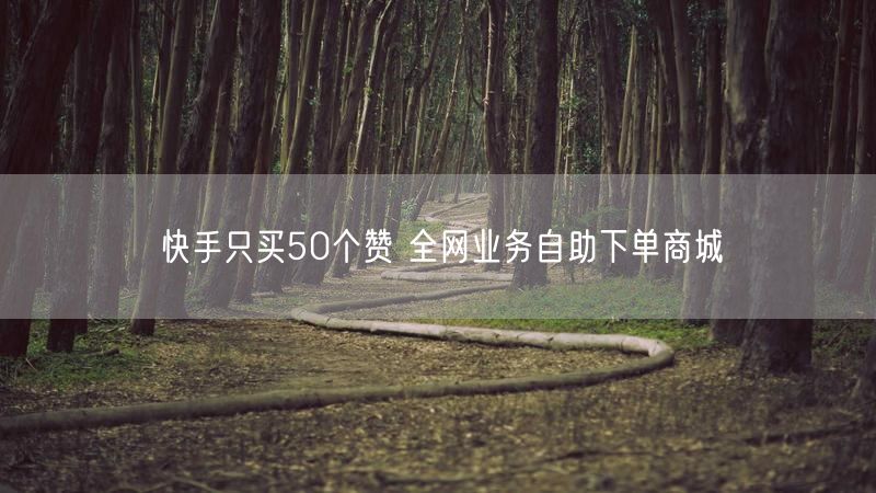 快手只买50个赞 全网业务自助下单商城