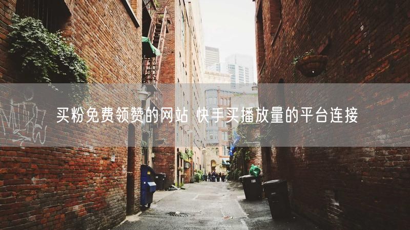 买粉免费领赞的网站 快手买播放量的平台连接