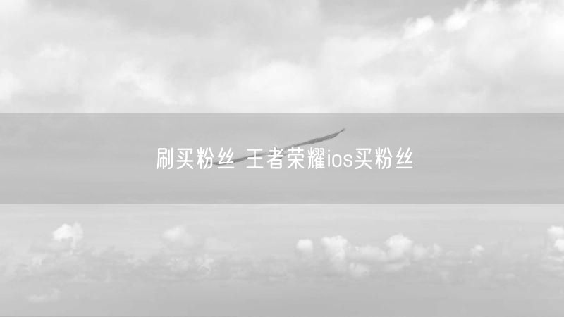 刷买粉丝 王者荣耀ios买粉丝