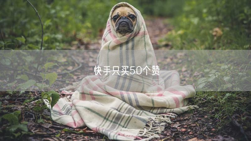 快手只买50个赞