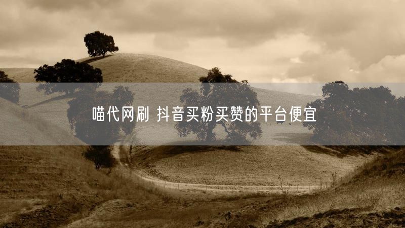 喵代网刷 抖音买粉买赞的平台便宜