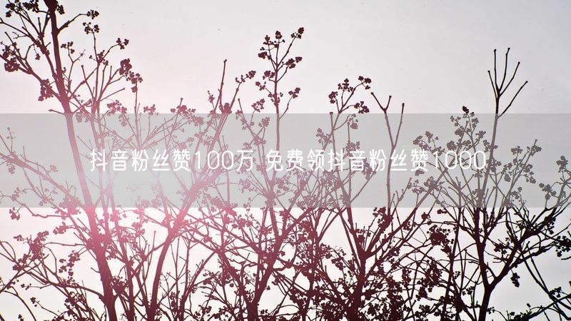 抖音粉丝赞100万 免费领抖音粉丝赞1000