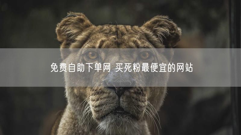 免费自助下单网 买死粉最便宜的网站