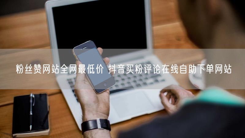 粉丝赞网站全网最低价 抖音买粉评论在线自助下单网站