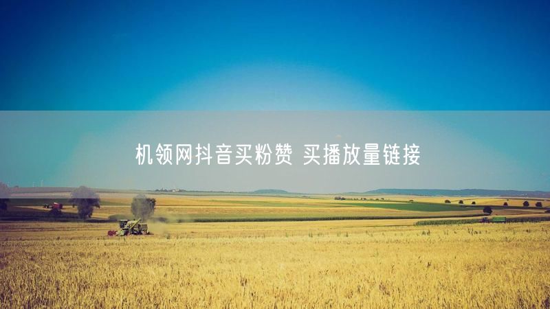 机领网抖音买粉赞 买播放量链接