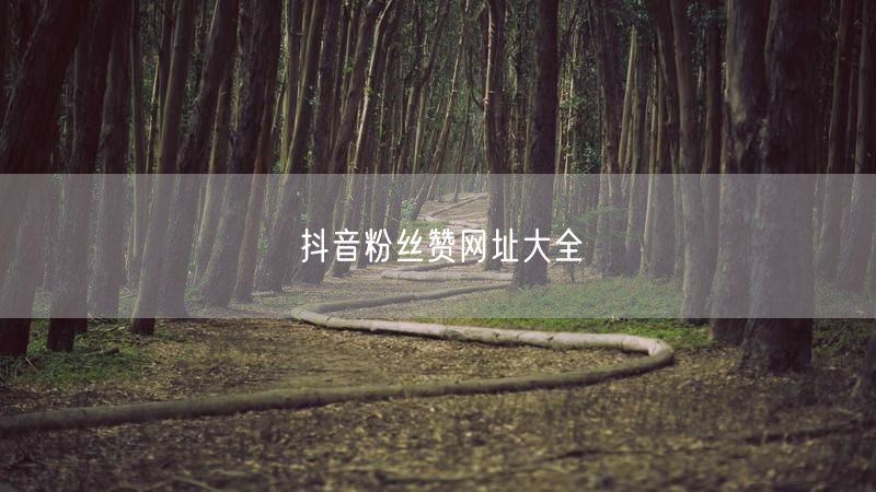 抖音粉丝赞网址大全