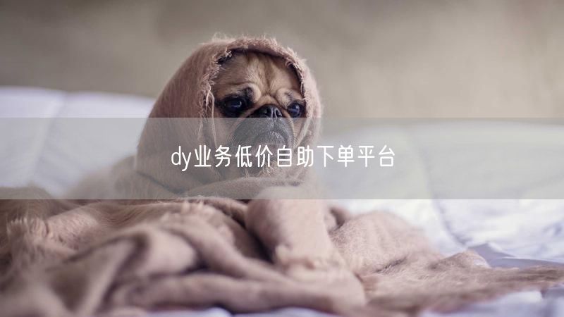 dy业务低价自助下单平台